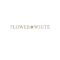 Flower And White